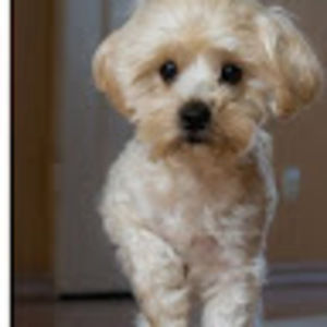 Meet your Posher, Jacklyn